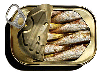 sardines-in-can